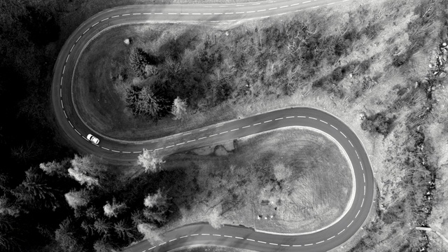 Video Reference: black and white, monochrome photography, photography, aerial photography, monochrome, atmosphere, sky, stock photography, tree, computer wallpaper