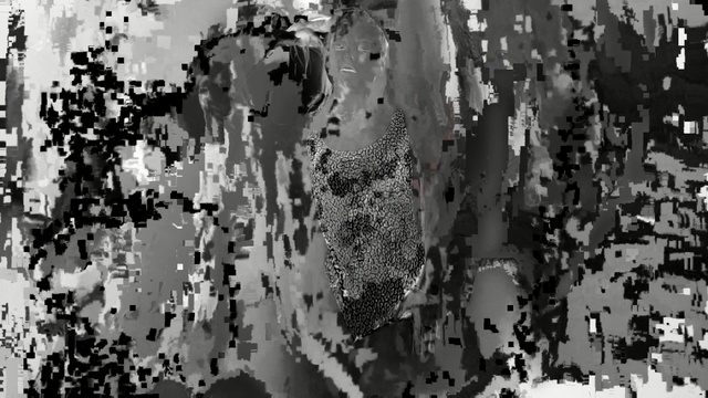 Video Reference: black, black and white, monochrome photography, tree, photography, monochrome, pattern, water, Person