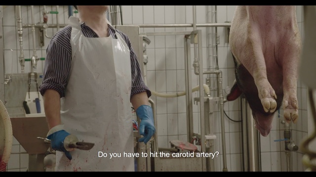 Video Reference: 