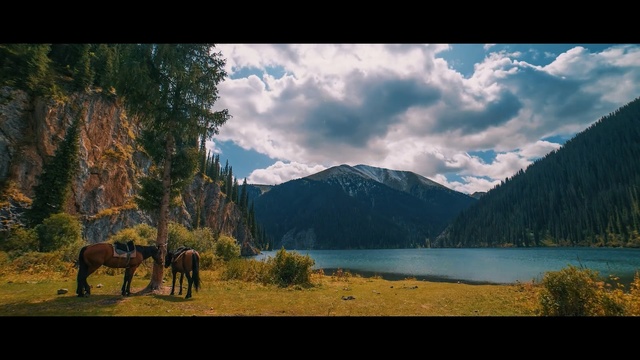 Video Reference: nature, sky, mountainous landforms, wilderness, mountain, tree, woody plant, reflection, lake, highland