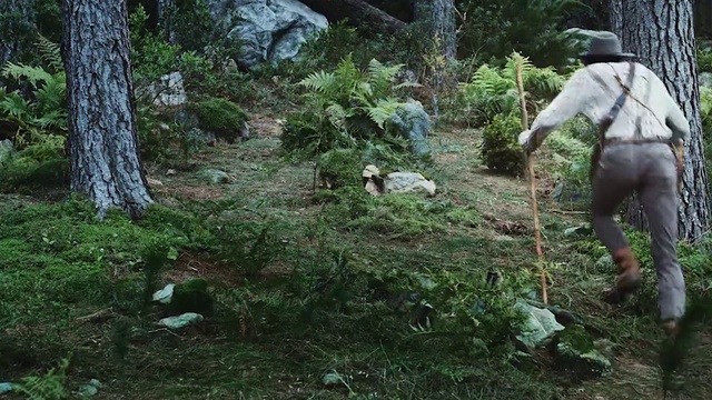 Video Reference: Vegetation, Jungle, Natural environment, Nature reserve, Forest, Rainforest, Old-growth forest, Tree, Woodland, Biome