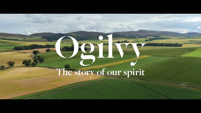 Video Reference: grassland, nature, field, ecosystem, pasture, plain, farm, grass, sky, rural area, Person