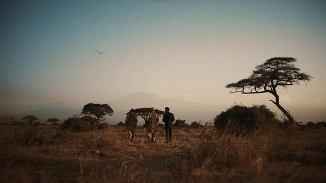 Video Reference: Savanna, Sky, Grassland, Natural environment, Ecoregion, Plain, Wildlife, Tree, Landscape, Plant community, Person