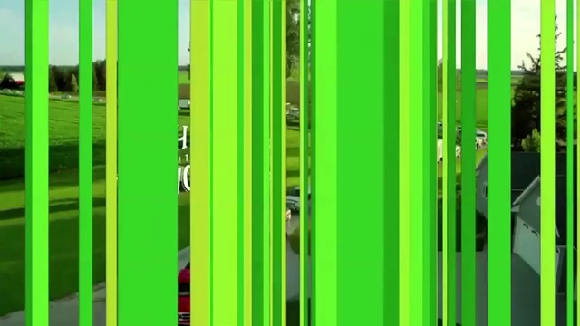 Video Reference: Green, Yellow, Line, Plant, Parallel