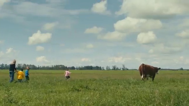 Video Reference: grassland, pasture, grazing, ecosystem, field, prairie, farm, cattle like mammal, meadow, grass, Person