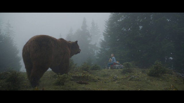 Video Reference: Atmospheric phenomenon, Bear, Wilderness, Grizzly bear, Wildlife, Morning, Screenshot, Mist, Organism, Adaptation, Outdoor, Standing, Animal, Looking, Photo, Grass, Brown, Front, Man, Field, Large, Horse, Cat, Snow, Fog, Mammal, Text, Bovine