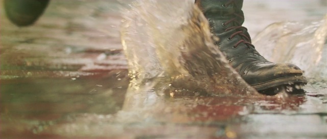 Video Reference: Water, Tree, Geological phenomenon, Plant