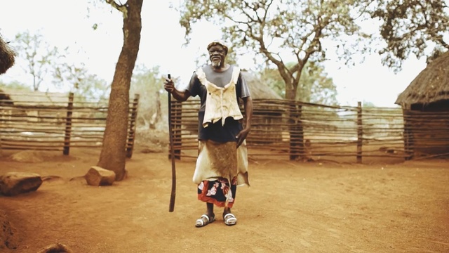 Video Reference: Tree, Adaptation