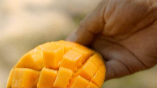 Video Reference: Food, Mango, Fruit, Plant, Cuisine, Produce, Indoor, Banana, Table, Oranges, Plate, Sitting, Orange, Small, Bowl, Holding, Cut, White, Corn, Sliced