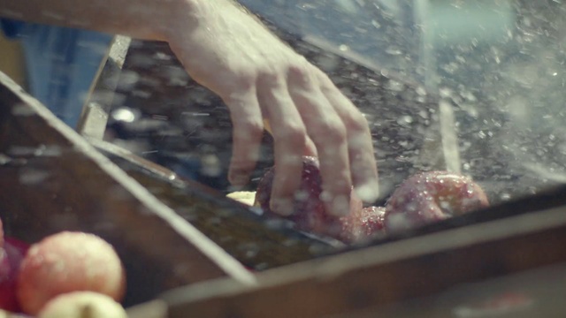 Video Reference: Flesh, Food, Cooking, Hand, Cuisine, Finger, Dish, Recipe, Pork, Meat