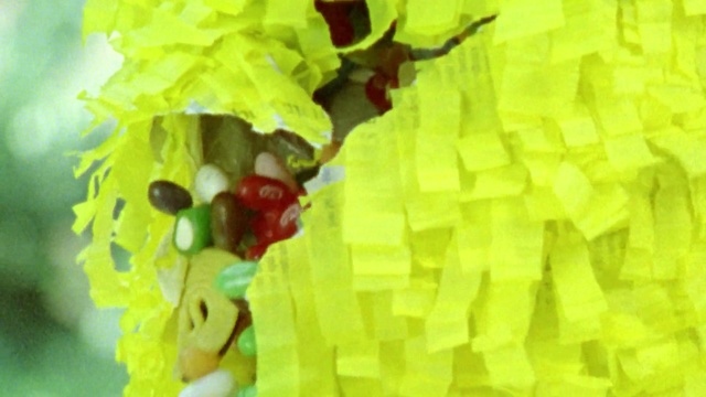 Video Reference: yellow, green, leaf, fruit, organism, petal, grass, computer wallpaper