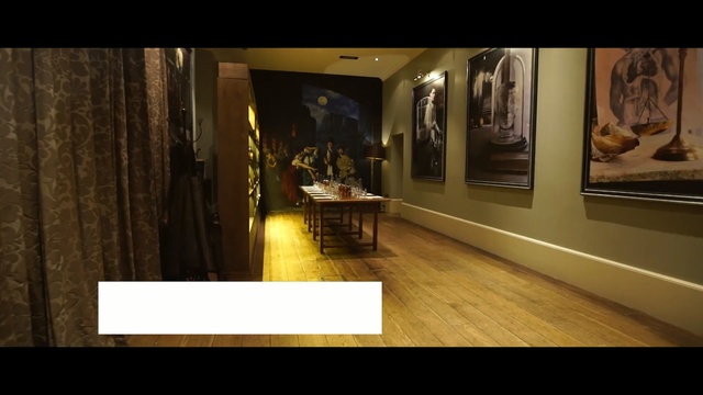 Video Reference: interior design, tourist attraction, museum, flooring, floor, Person