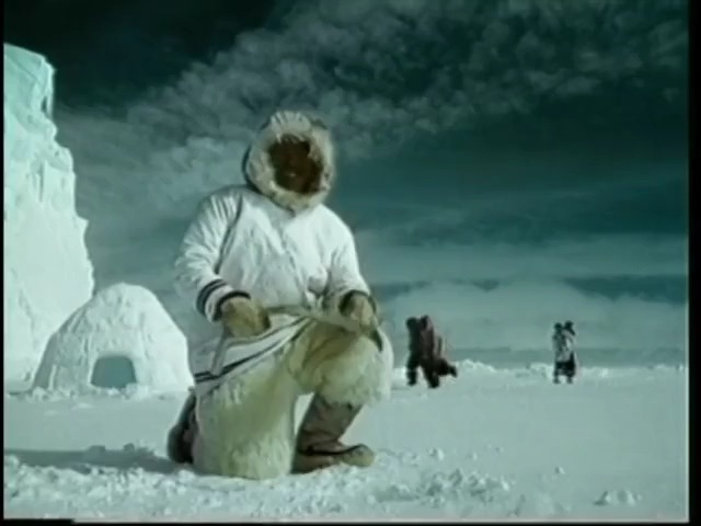 Video Reference: mammal, arctic, geological phenomenon, ice, fun, freezing, extreme sport, polar bear, glacial landform, religion