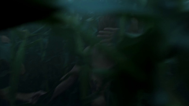 Video Reference: Green, Black, Nature, Darkness, Light, Turquoise, Water, Organism, Atmosphere, Photography