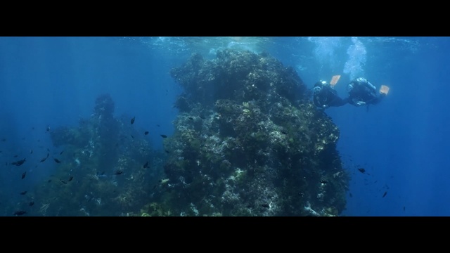 Video Reference: Underwater, Marine biology, Reef, Organism, Water, Underwater diving, Scuba diving, Coral reef, Divemaster, Recreation