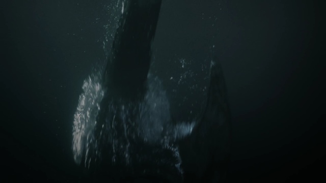 Video Reference: star, celestial body, water, night, light