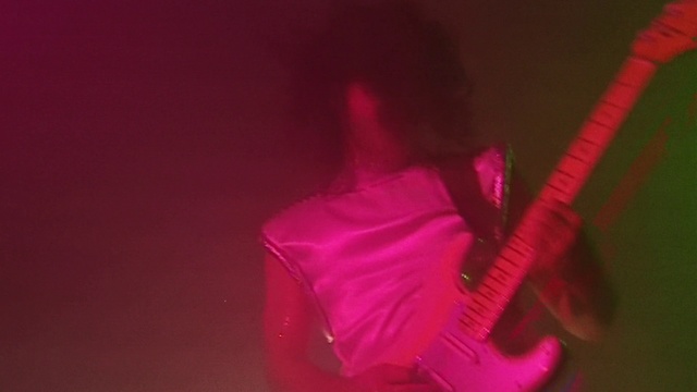 Video Reference: Pink, Red, Magenta, Purple, Violet, Macro photography, Photography, Room, Performance, Plant