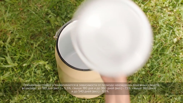 Video Reference: grass, meadow, grass family, lawn, plant