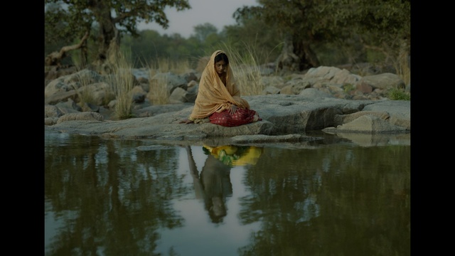 Video Reference: Nature, Water, Reflection, Adaptation, Tree, River, Meditation, Photography, Watercourse, Sitting