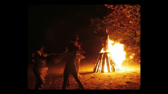 Video Reference: Heat, Fire, Flame, Bonfire, Campfire, Event, Human, Sky, Fun, Night
