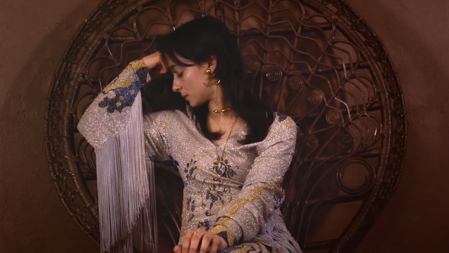 Video Reference: lady, girl, dress, fashion, formal wear, photo shoot, jewellery, gown, model, Person