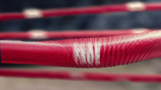 Video Reference: Red, Close-up, Material property, Carmine