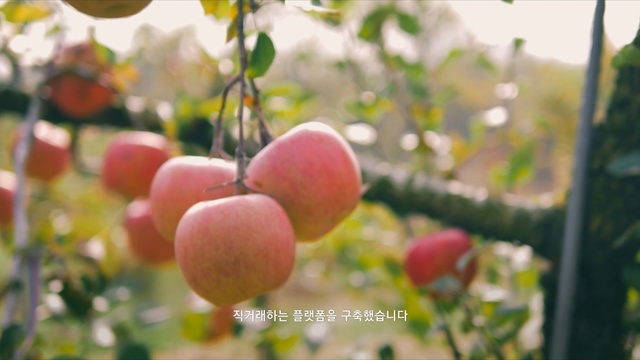 Video Reference: fruit, local food, peach, produce, spring, apple, branch, plant, fruit tree, Person