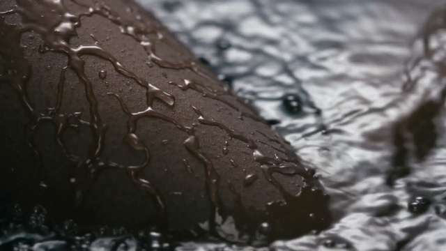 Video Reference: Water, Tire, Drop, Automotive tire, Black-and-white, Organism, Monochrome photography, Leaf, Macro photography, Photography