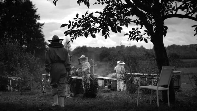 Video Reference: Photograph, Monochrome photography, Black-and-white, Tree, Photography, Stock photography, Adaptation, Monochrome, Landscape, Plant