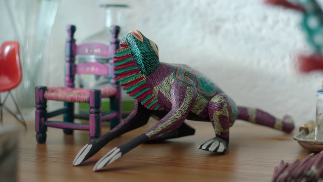 Video Reference: Iguania, Lizard, Reptile, Dinosaur, Scaled reptile, Toy, Chameleon, Iguana
