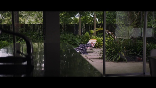 Video Reference: Nature, Vegetation, Natural environment, Green, Tree, Light, Biome, Forest, Sunlight, Lighting