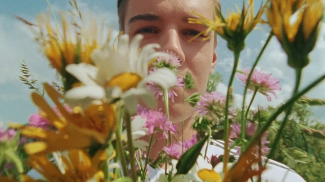 Video Reference: Flower, Plant, Wildflower, Flower Arranging, Floristry, Spring, Floral design, Petal, Botany, Flowering plant