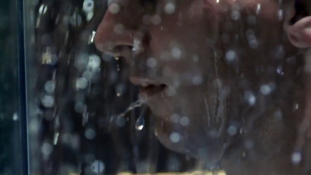 Video Reference: Water, Nature, Branch, Light, Tree, Natural environment, Organism, Sunlight, Wildlife, Plant