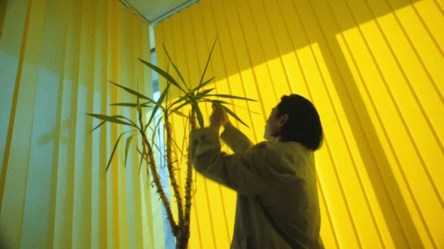 Video Reference: Yellow, Textile, Umbrella, Shade, Tints and shades