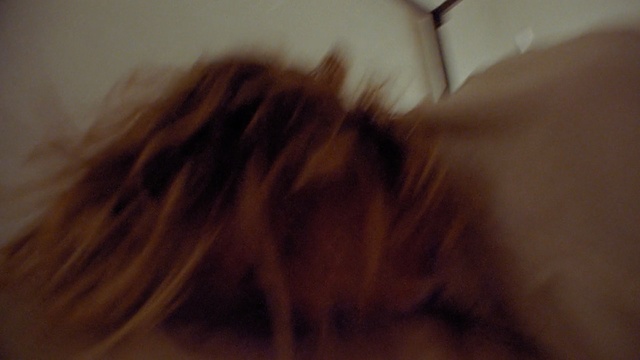Video Reference: Hair, Brown, Close-up, Eye, Mouth, Ear, Brown hair, Long hair, Fawn