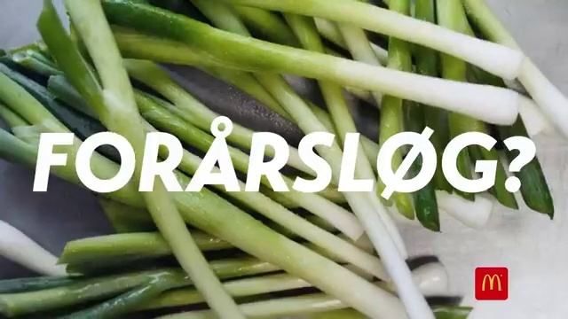 Video Reference: Vegetable, Food, Plant, Welsh onion, Ingredient, Scallion, Produce, Grass, Flowering plant, Leek