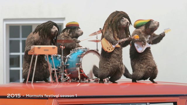 Video Reference: Performance, Musical instrument, Musician, Drum, Sitting, Orange, Toy, Small, Table, Black, Red, Standing, Brown, Dog, Cat, Stuffed, White, Computer, Group, Boat, Bird, Man, Laying, Room, Text