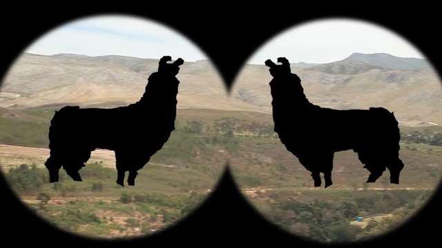Video Reference: camel like mammal, llama, livestock, alpaca, sky, silhouette, pasture, Person