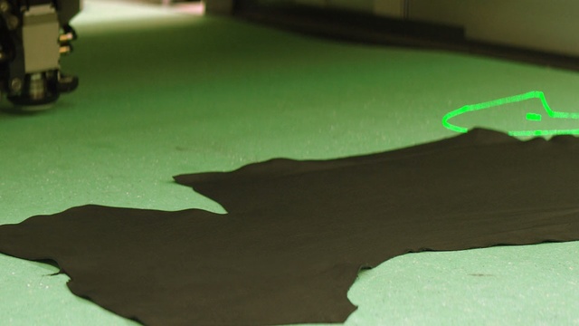 Video Reference: green, wood, grass