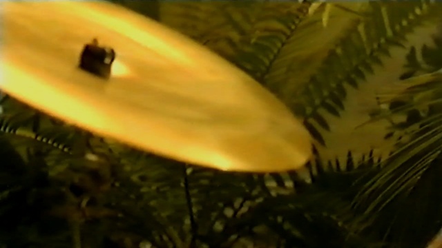 Video Reference: plant, cymbal