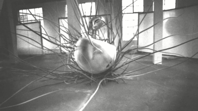 Video Reference: black and white, monochrome photography, still life photography, photography, monochrome, plant, stock photography, glass, branch, symmetry, Person