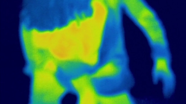 Video Reference: blue, green, yellow, organism, close up, macro photography, earth, computer wallpaper, energy, world