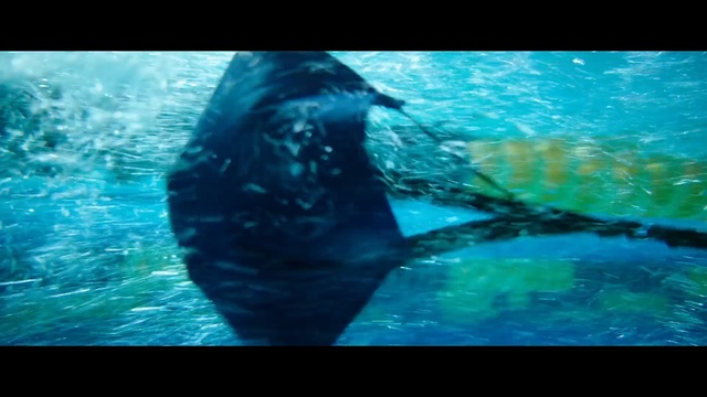 Video Reference: Water, Marine biology, Organism, Marine mammal, Ocean, Underwater, Sea, Adaptation, Fish, Wildlife