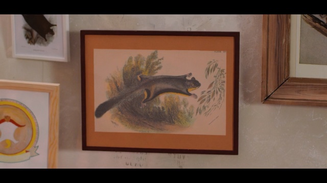 Video Reference: Painting, Art, Picture frame, Visual arts, Watercolor paint, Modern art, Tail, Person