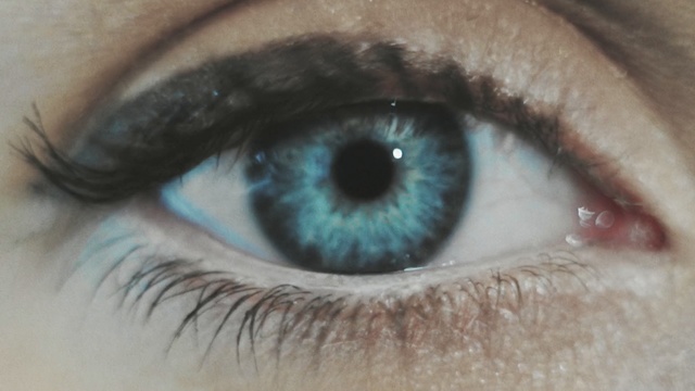 Video Reference: Eye, Iris, Blue, Eyelash, Green, Close-up, Eyebrow, Organ, Skin, Lens