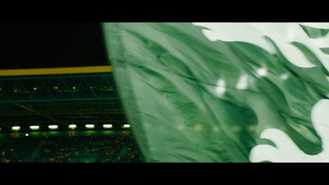 Video Reference: Green, Leaf