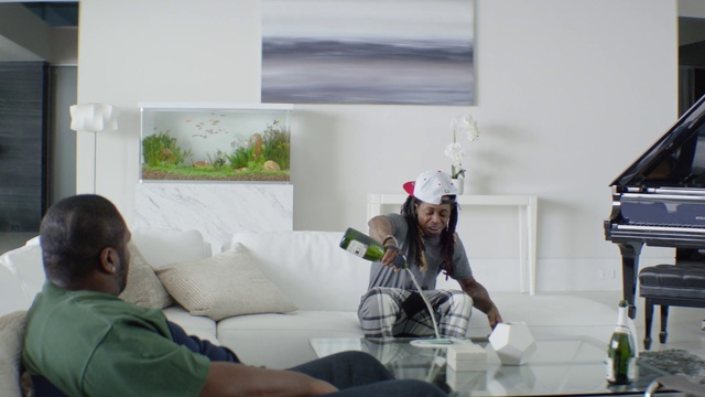 Video Reference: Room, Organism, Furniture, Interior design, Plant, House