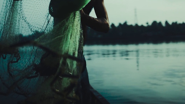 Video Reference: Water, Green, Blue, Tree, Sky, Photography, Summer, Hand, Reflection, Grass
