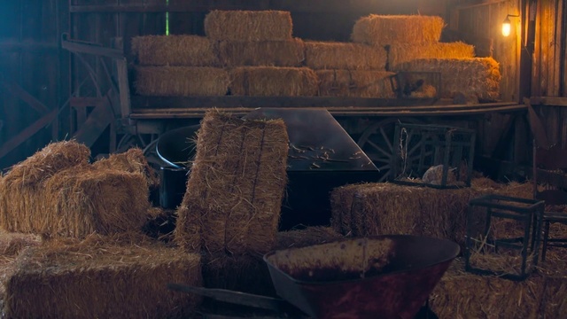 Video Reference: Adventure game, Straw, Screenshot, Landscape, Rock