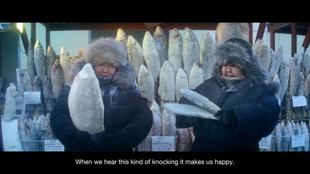 Video Reference: Human, Organism, Adaptation, Photo caption, Photography, Person